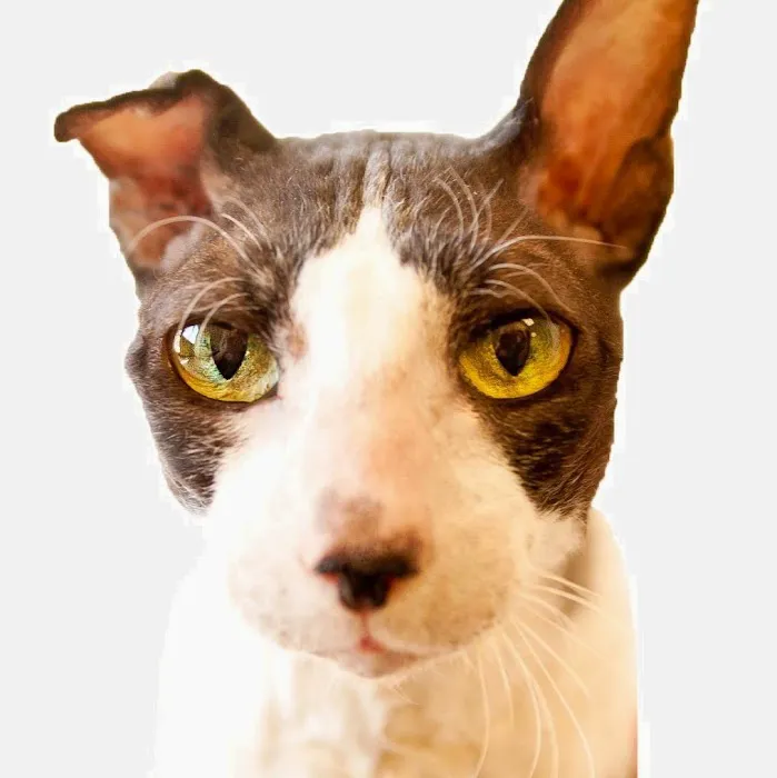 Lifetime Pet Center - New Richmond 12