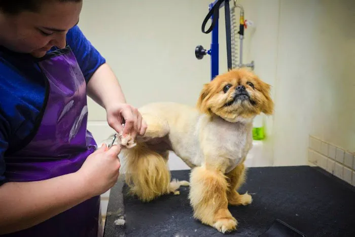 Lifetime Pet Center - New Richmond 12