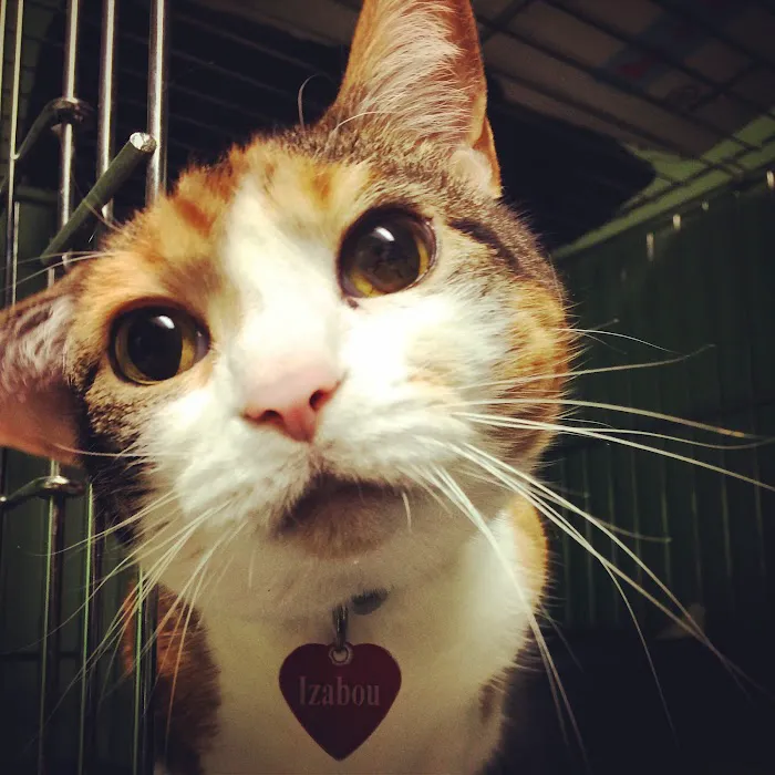 Lifetime Pet Center - New Richmond 12