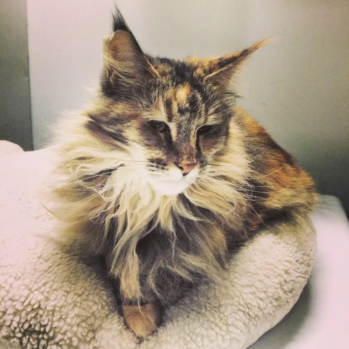 Lifetime Pet Center - New Richmond 12