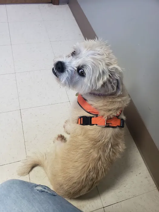 St Joseph Animal Hospital 12