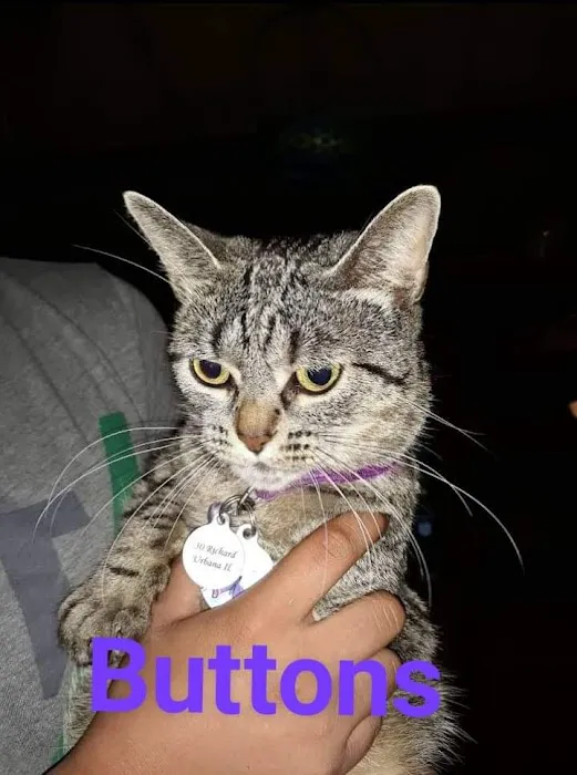 Rantoul Veterinary Clinic 12