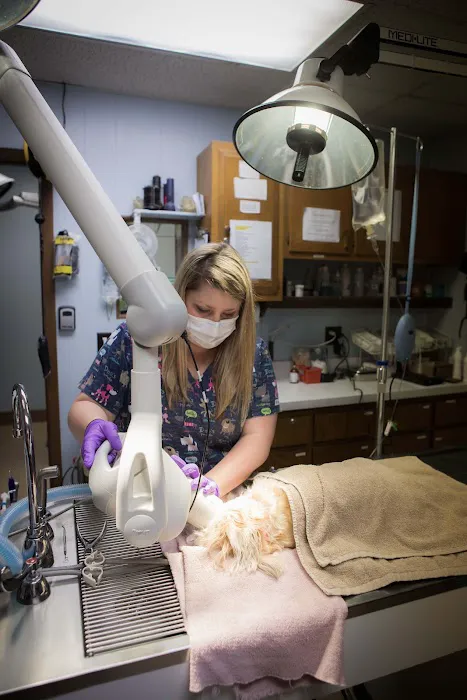 Dwight Veterinary Clinic 12