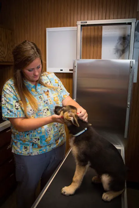 Dwight Veterinary Clinic 12