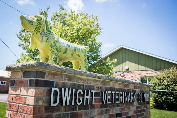 Dwight Veterinary Clinic 12