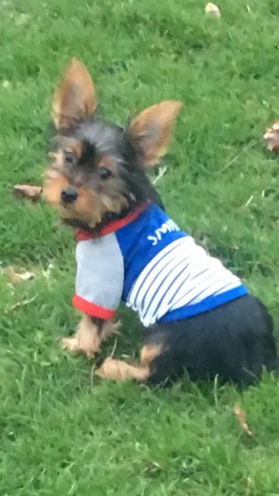 Compassionate Veterinary Care of Herscher 12