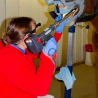 Fox Woods Equine Veterinary Care, LLC ico