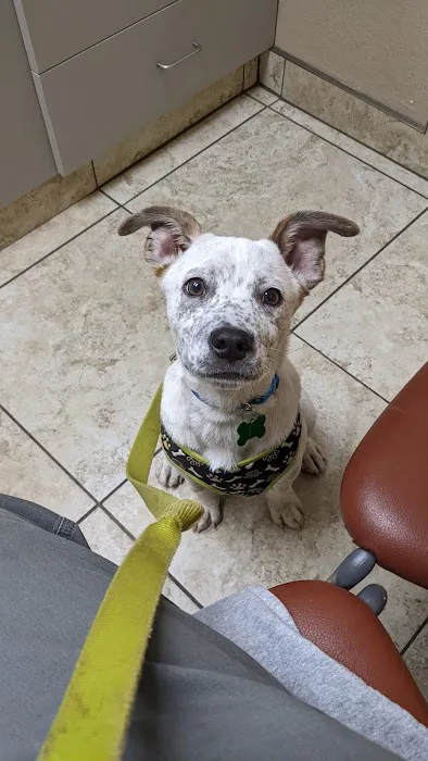 Pineview Veterinary Hospital & Pet Resort 12