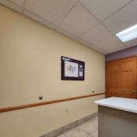 Pineview Veterinary Hospital & Pet Resort ico