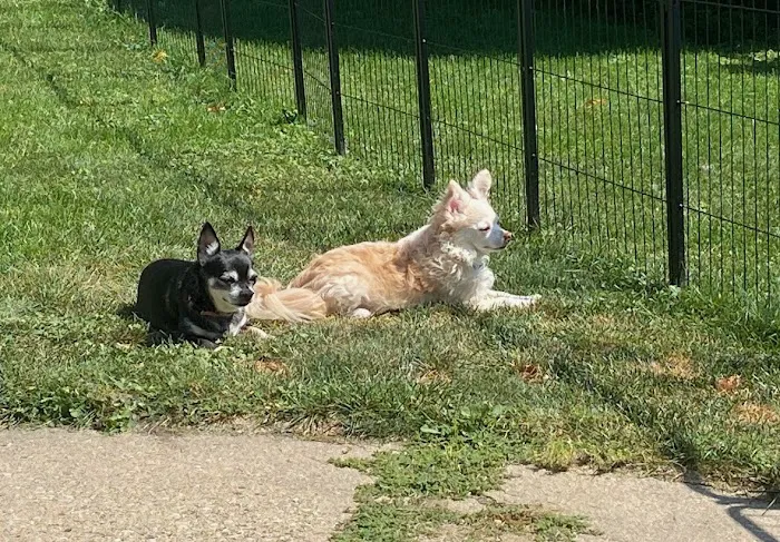 Poynette Veterinary Care 12