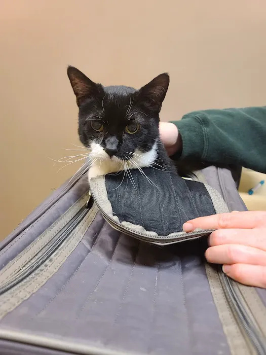 Lakeland Veterinary Care 12