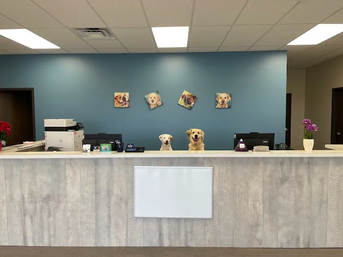 Pets First Veterinary Clinic 12