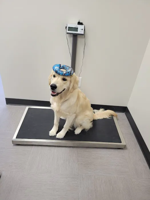 Pets First Veterinary Clinic 12