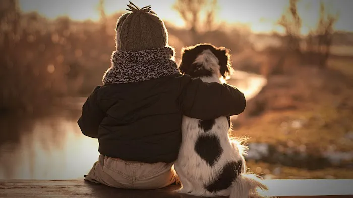 Pets First Veterinary Clinic 12