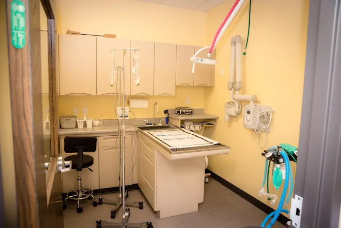 Pets First Veterinary Clinic 12