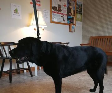 Community Veterinary Clinic