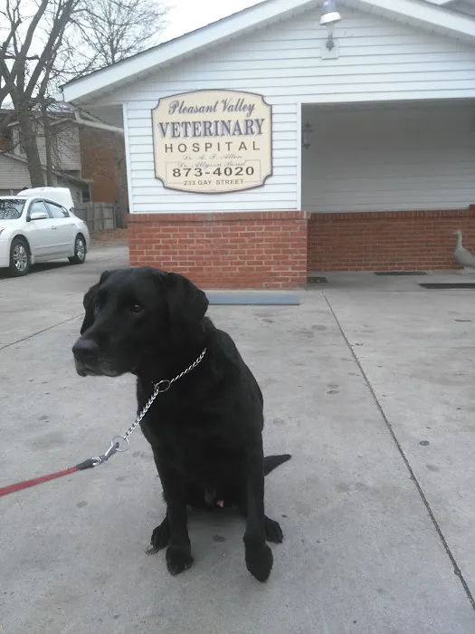 Community Veterinary Clinic 12