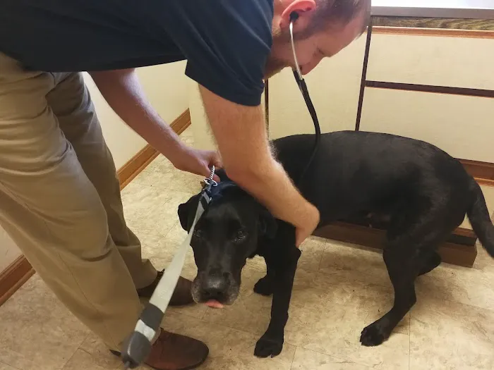 Community Veterinary Clinic 12