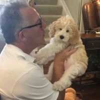 Best Friends Veterinary Hospital ico