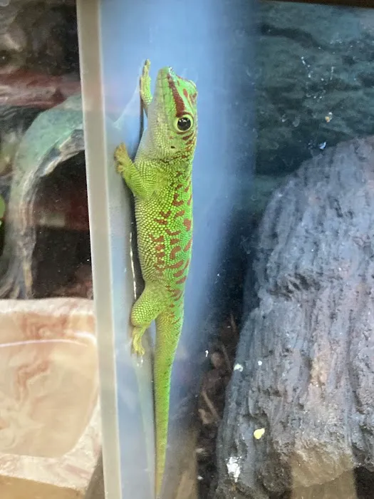 Petco 12