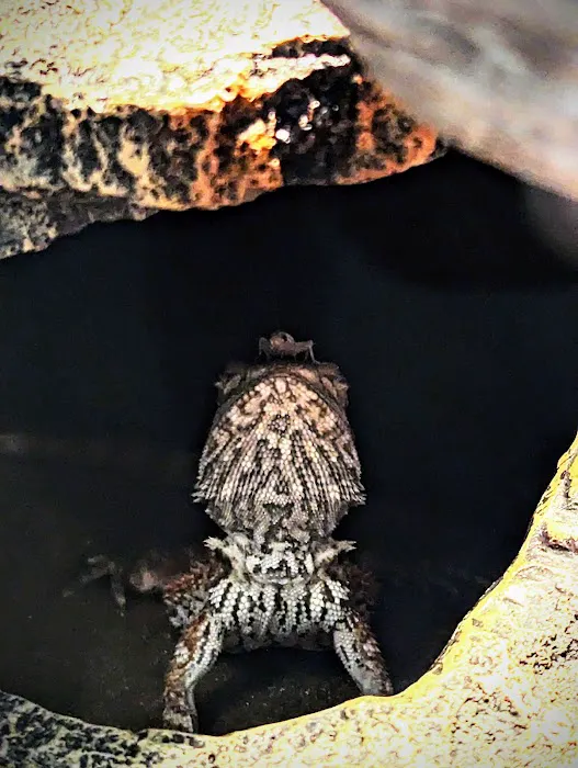 Petco 12