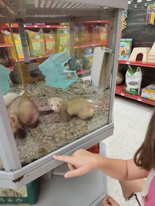 Petco 12