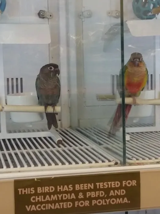 Petco 12