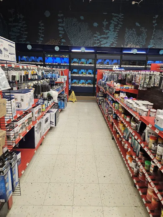 Petco 12