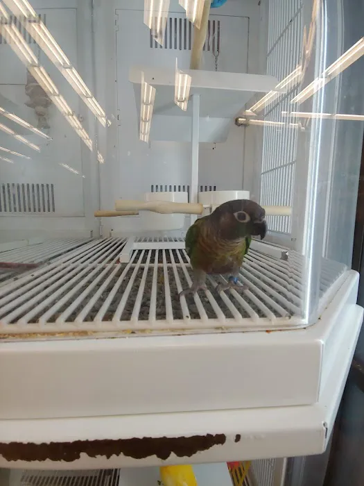 Petco 12