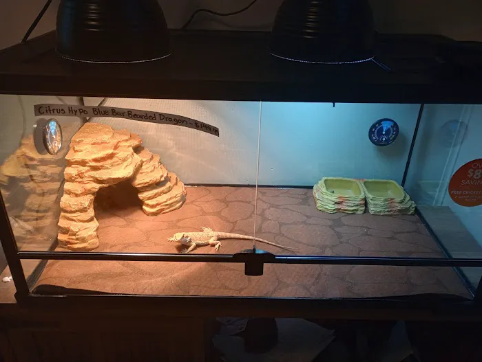 B & B's Exotic Pets LLC 12