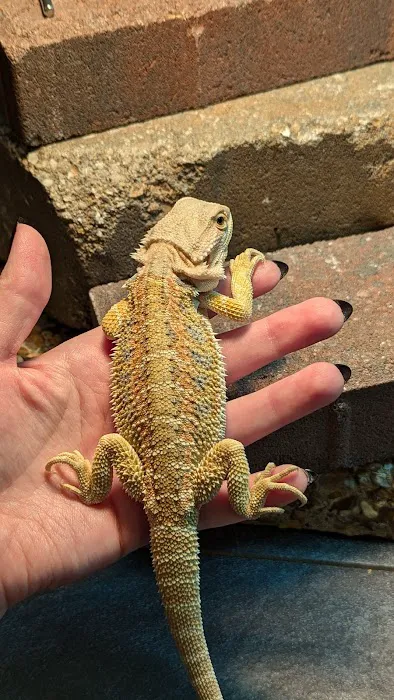 B & B's Exotic Pets LLC 12