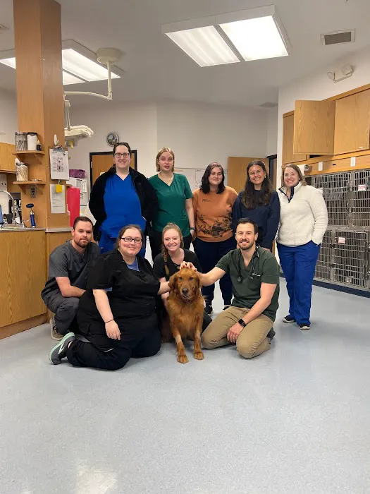 Healthy Pets of Lewis Center 12