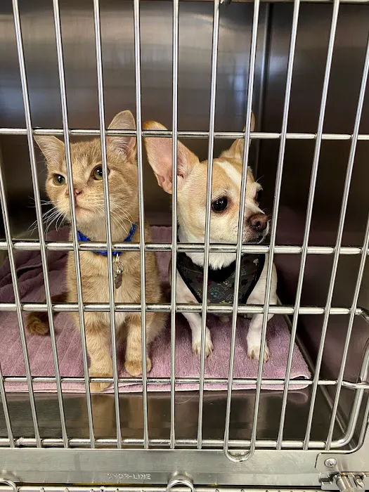 Healthy Pets of Lewis Center 12