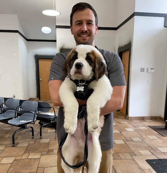 Healthy Pets of Lewis Center 12