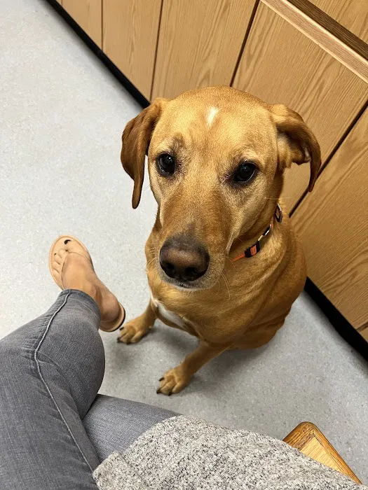 Healthy Pets of Lewis Center 12