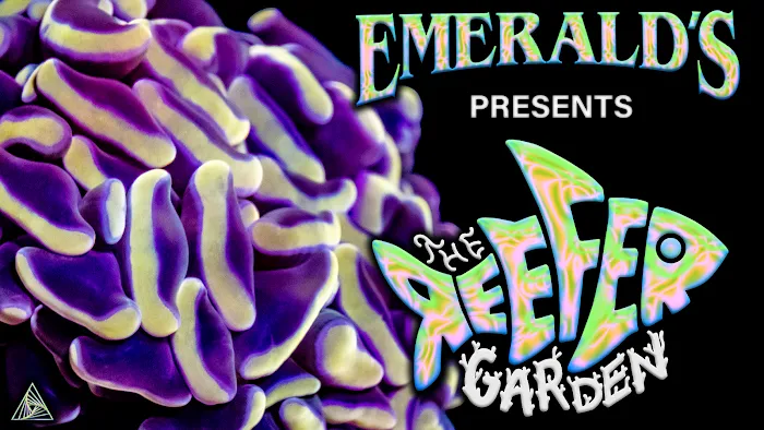 The Reefer Garden 12