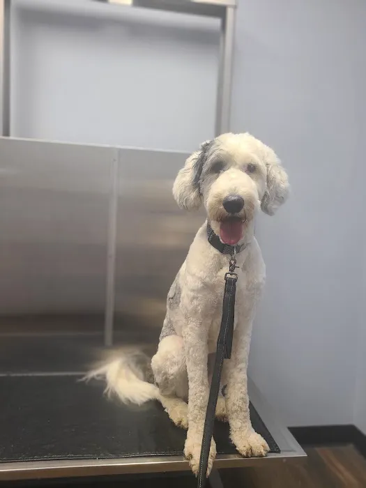 Powell Veterinary Clinic,LLC 12