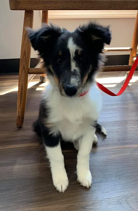 Powell Veterinary Clinic,LLC 12