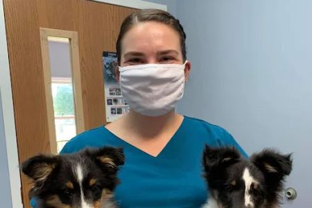 Powell Veterinary Clinic,LLC