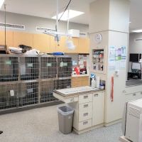 Animal Hospital of Shawnee Hills ico