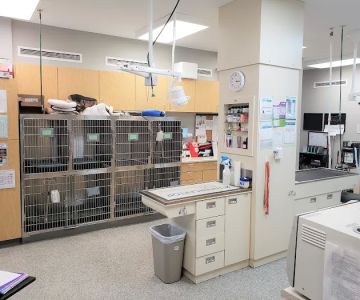 Animal Hospital of Shawnee Hills