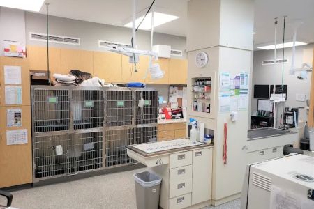 Animal Hospital of Shawnee Hills