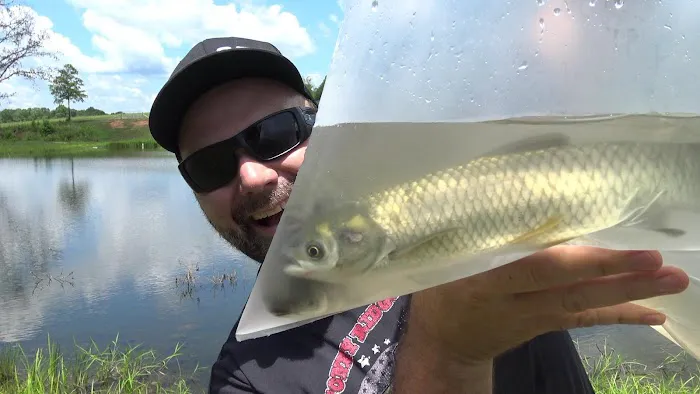 Arkansas Pondstockers 12