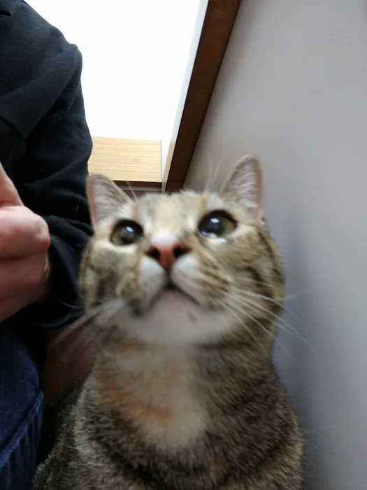 Healthy Pets of Wedgewood 12