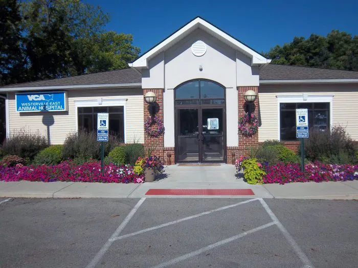 VCA Westerville East Animal Hospital 12