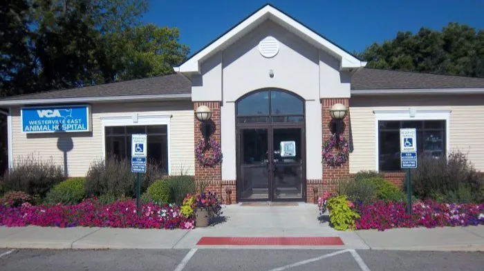 VCA Westerville East Animal Hospital 12