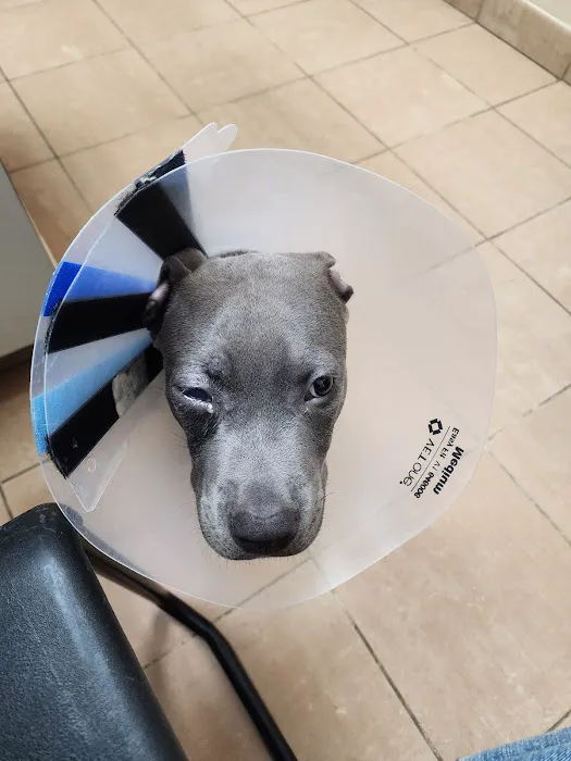 VCA Westerville East Animal Hospital 12