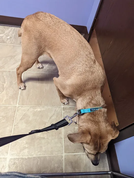 Pet Medical Center Of Westerville 7