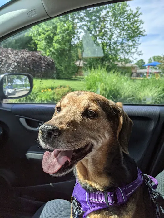 Pet Medical Center Of Westerville 2