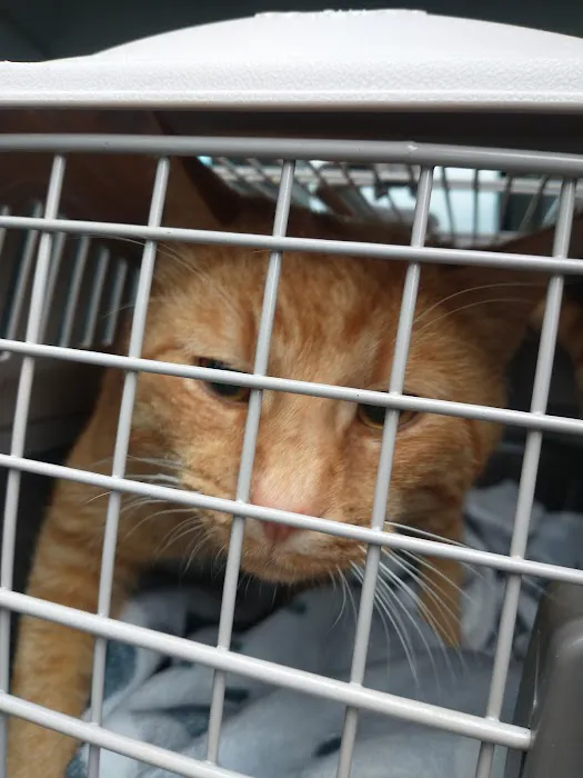 Animal Care Hospital of Reynoldsburg 12